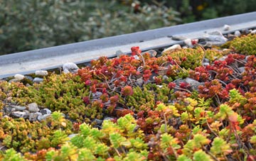 the cost of Gullom Holme green roof installation